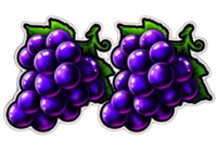 Symbol winogron Wild Fruits 27